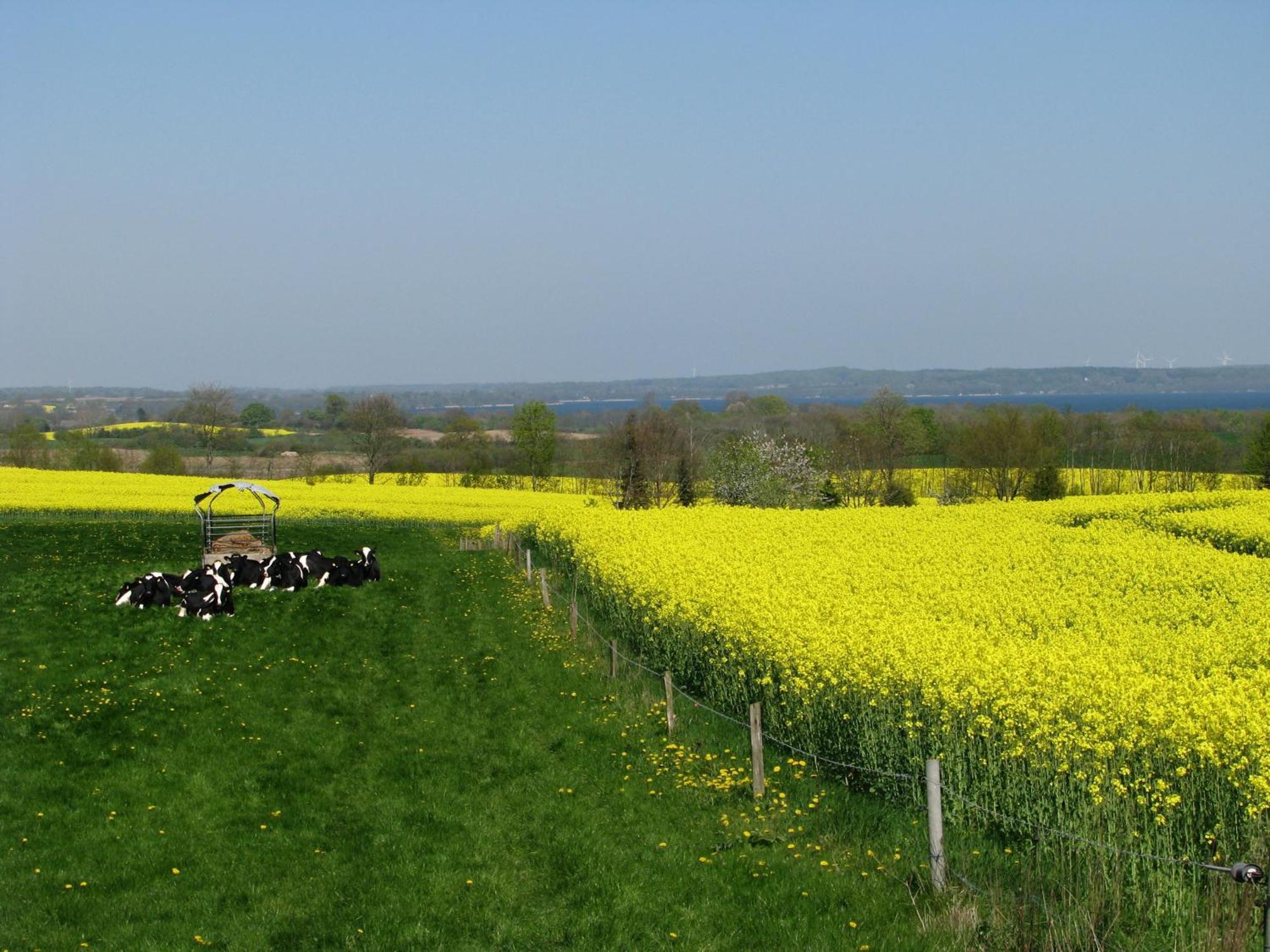Frietied Am Wittensee Bunsdorf Bagian luar foto